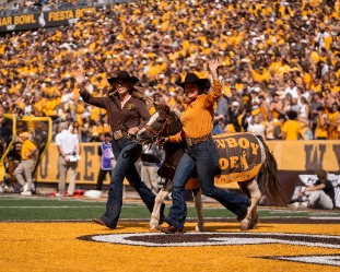 cowboy joe handlers
