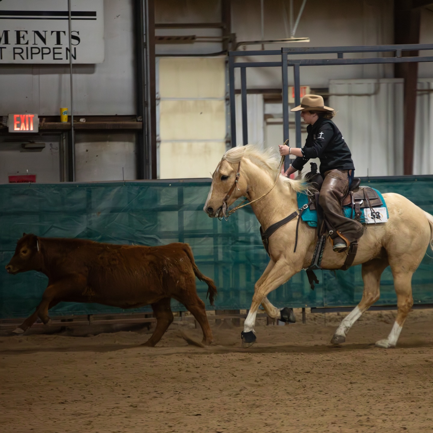 student riding a horse in an arena