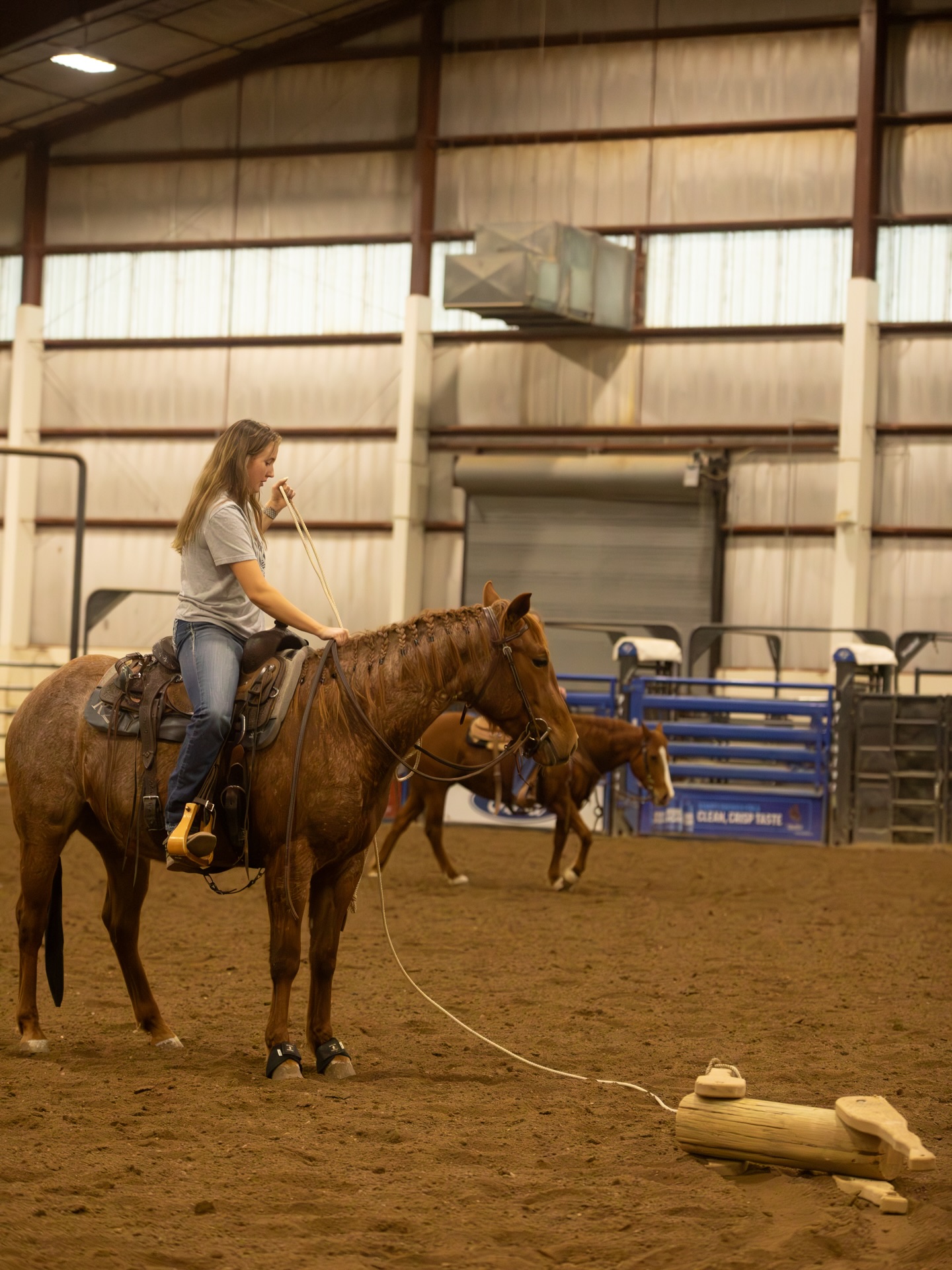 student riding horse through obstacles inside an arena