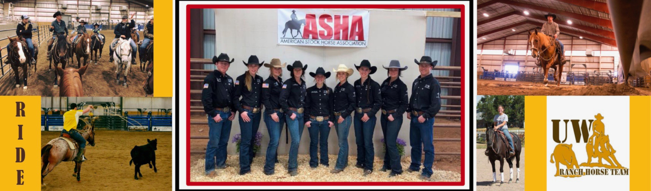 Collage of ranch horse team pictures. 