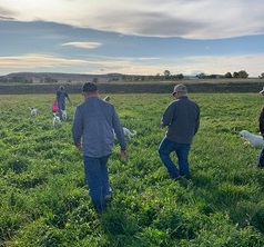 Members walking through a field