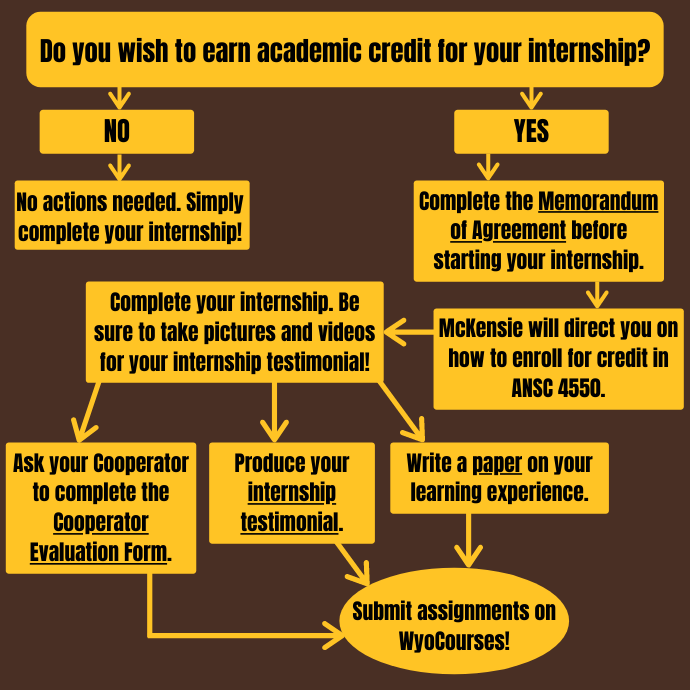 Flowchart that provides internship instructions