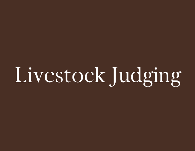 Livestock Judging 