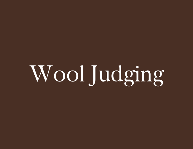 Wool Judging