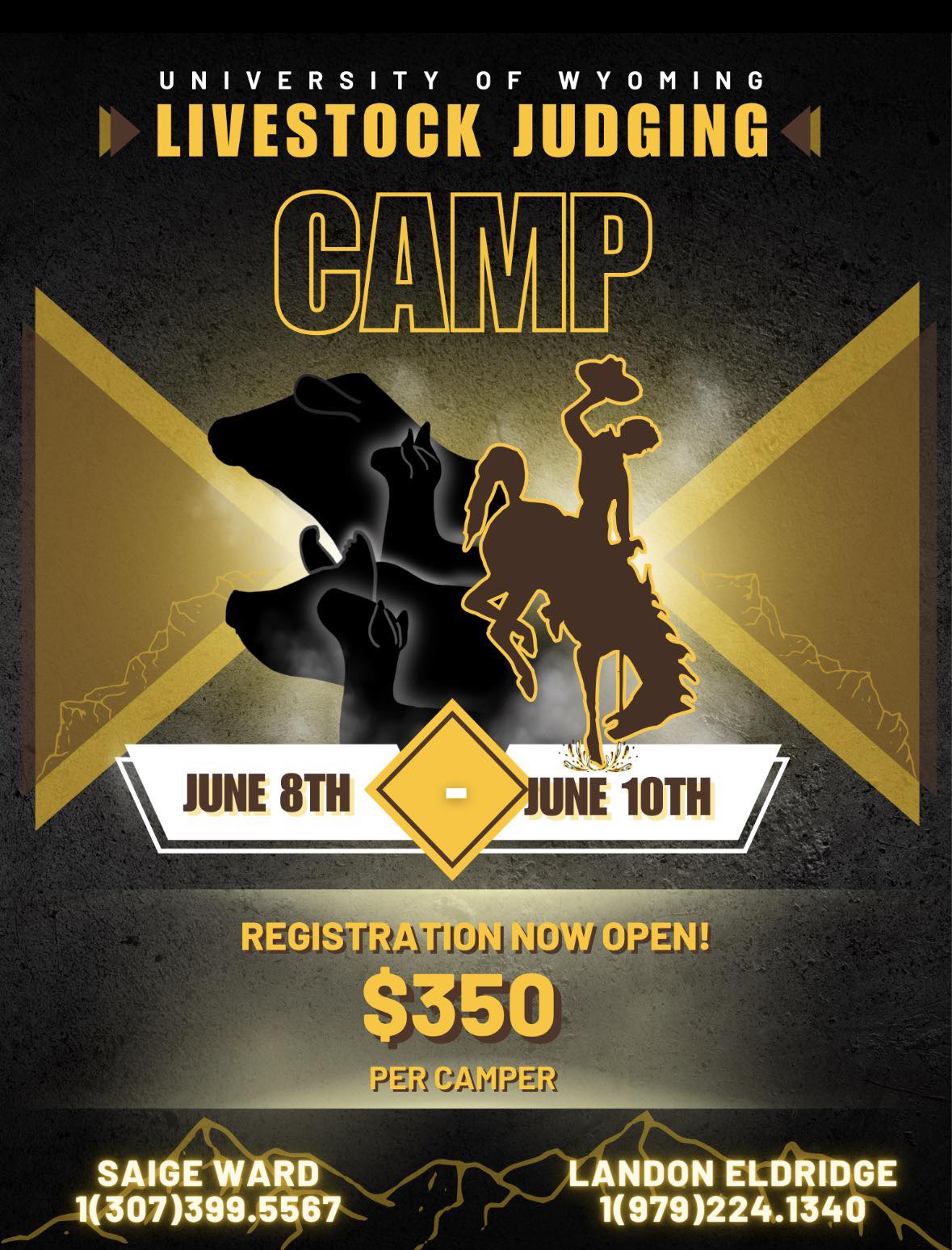 LJT camp