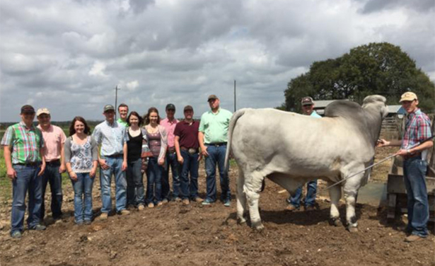 2017 UW Judging Team poses with a brahman bull on a judging trip.