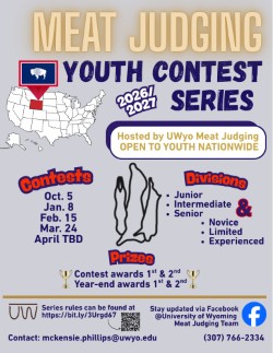 youth series