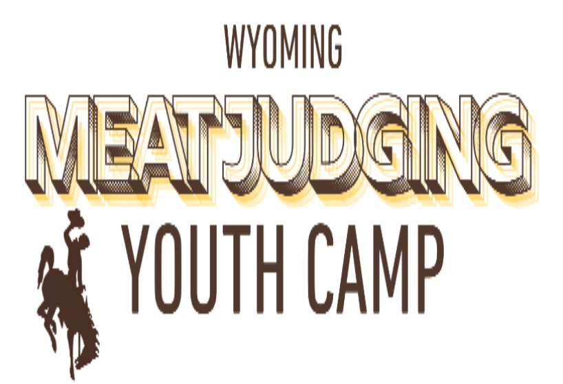 Youth Camp