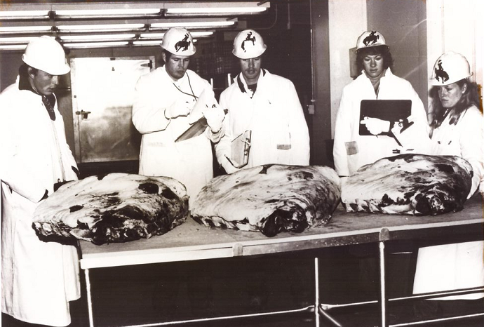 1981 Meat Judging Team