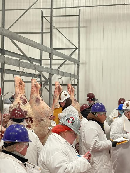 Meat Judging team