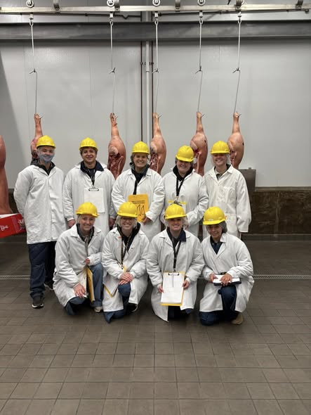 meat judging in coolers