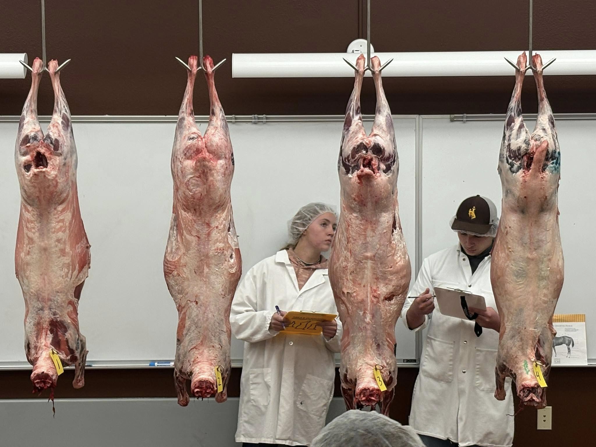 Meat judging team in lab