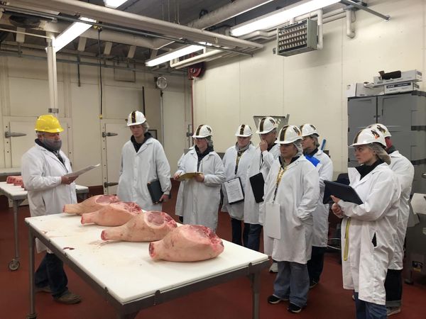 meat judging in coolers
