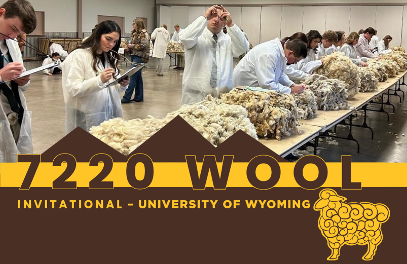 Students Classing wool fleeces