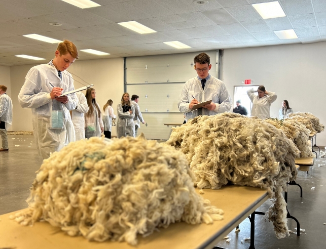 7220 Wool Classing Invitational