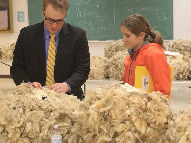 UW student helps with the youth wool judging contest.