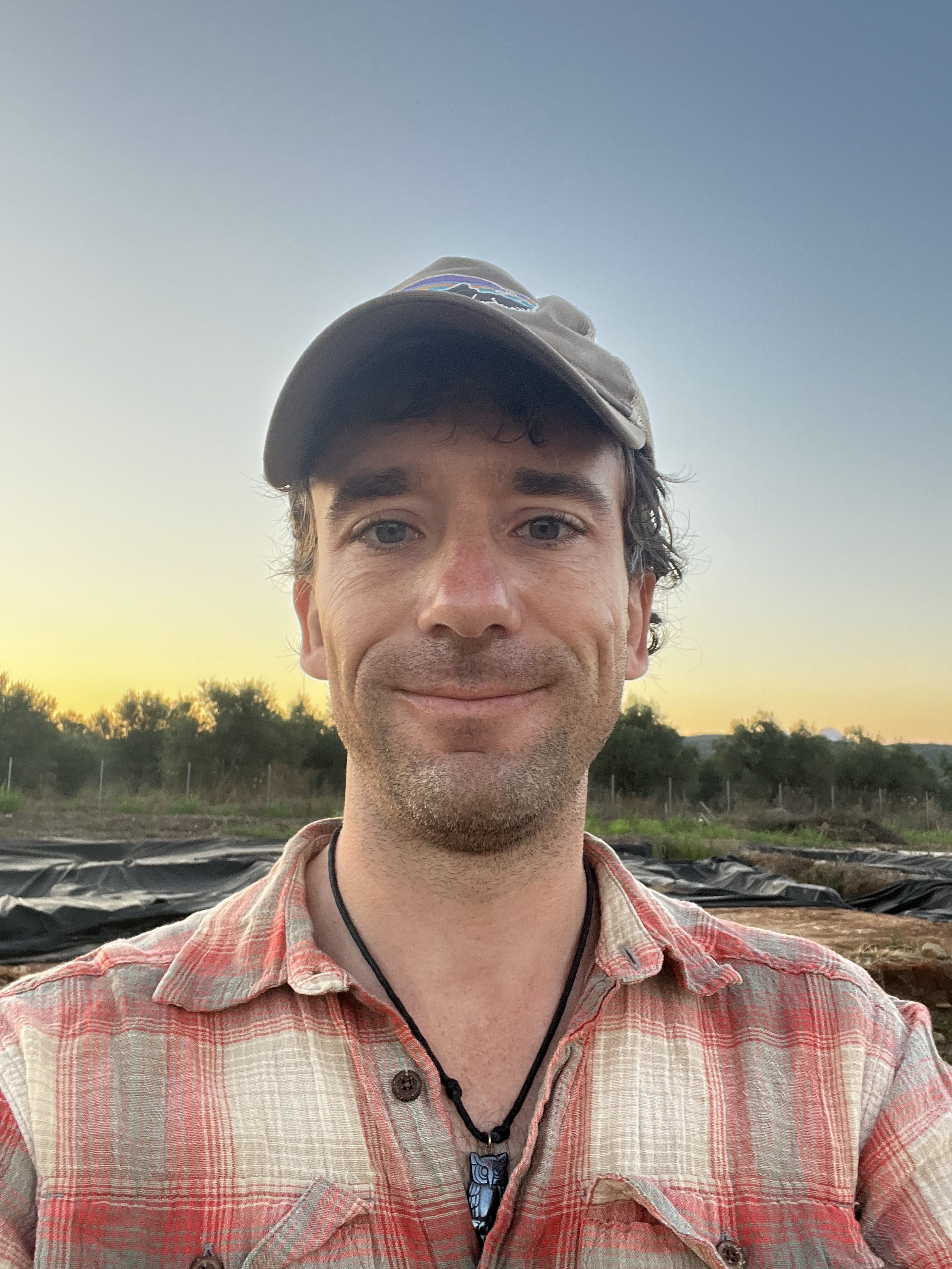 Adjunct Professor Matt Stirn