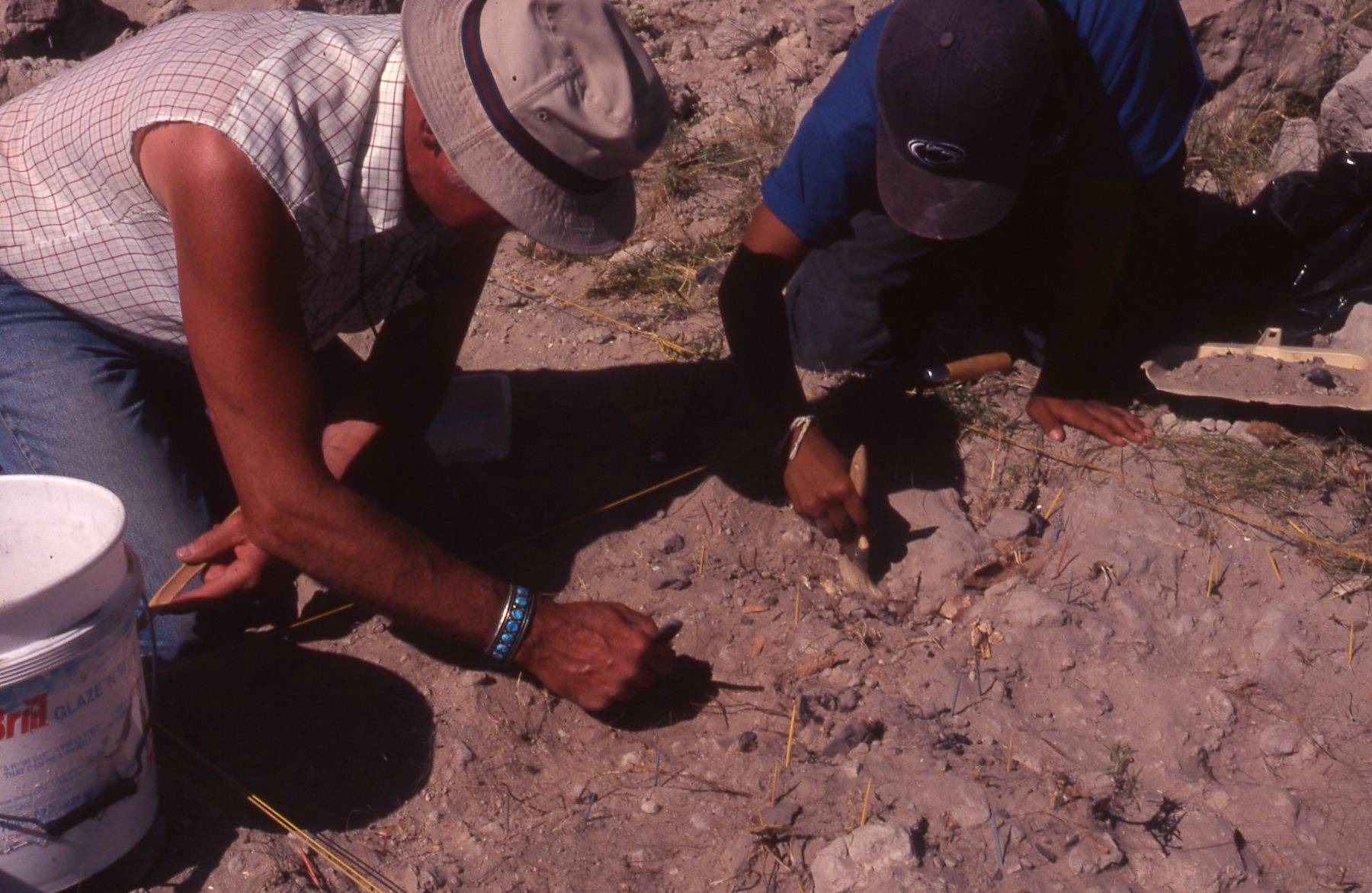 Field Work