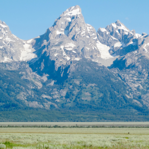 Teton Mountains with grass field