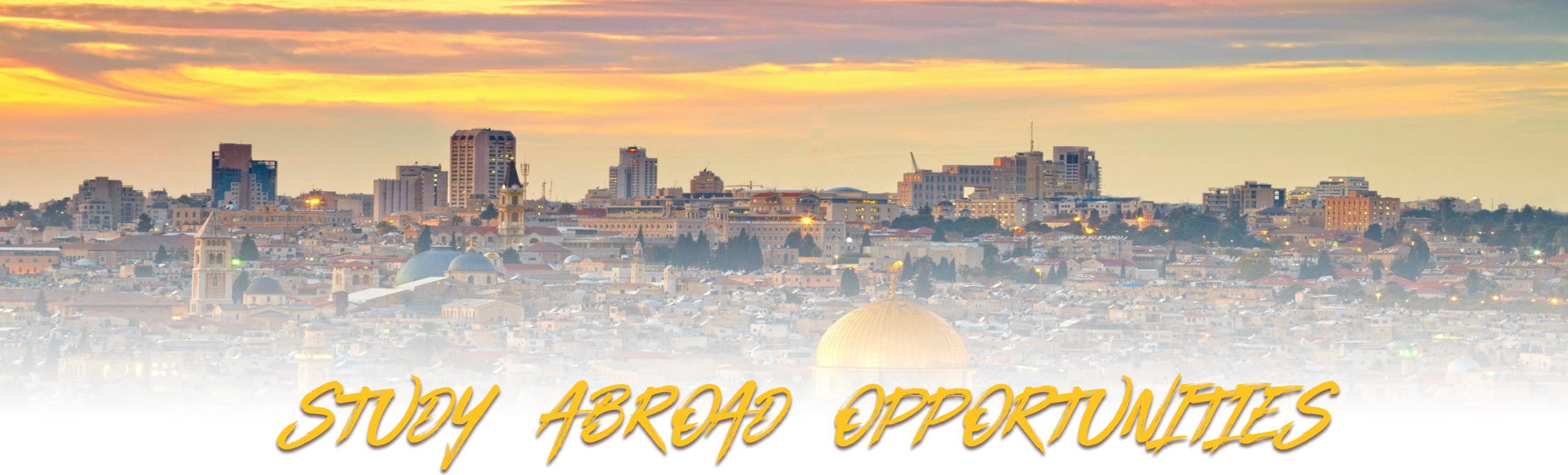 SPPAIS arabic and middle eastern studies study abroad opportunities jerusalem skyline