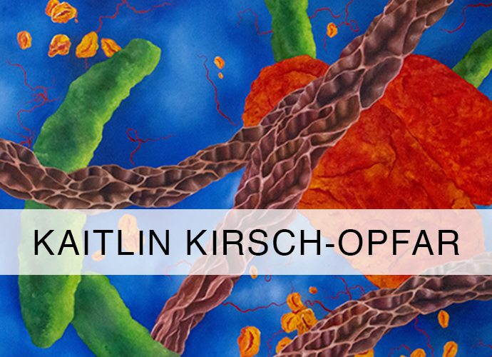 Kaitlin Kirsch-Opfar
