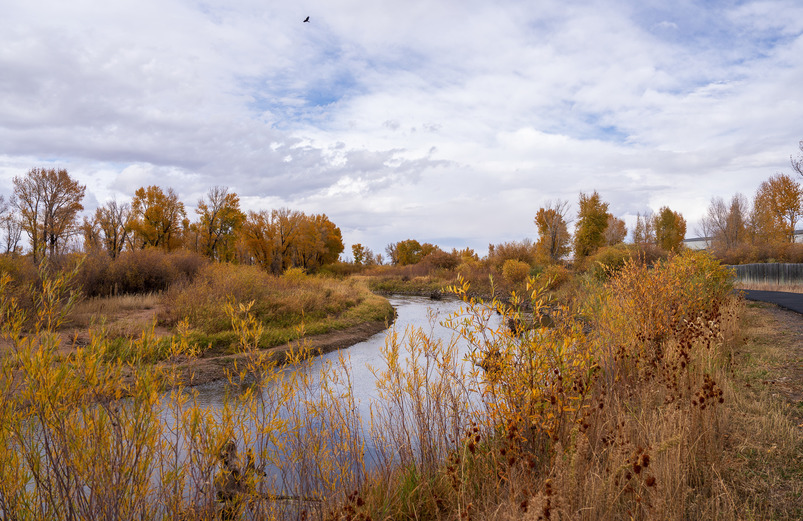 A river in Wyoming