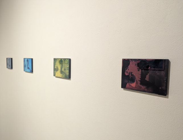 Four different colored photographic portraits hanging on white gallery wall. 