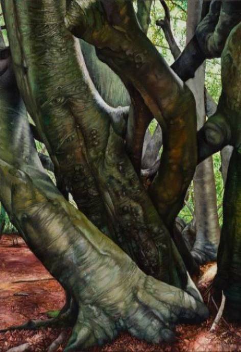 A painting called "Knot" showing three different green tinted, mossy tree trunks are wrapping around each other.