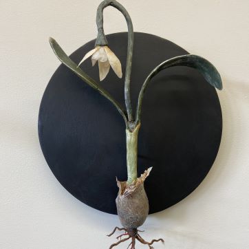 A 3-D scultpure of a white flower mounted on a wall