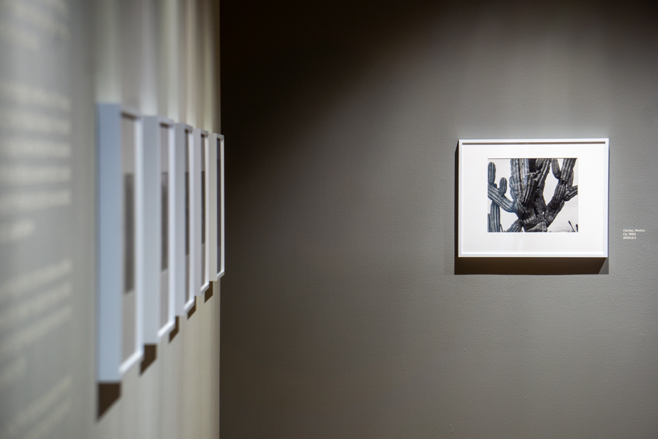 Gifted Collection: Brett Weston Archive