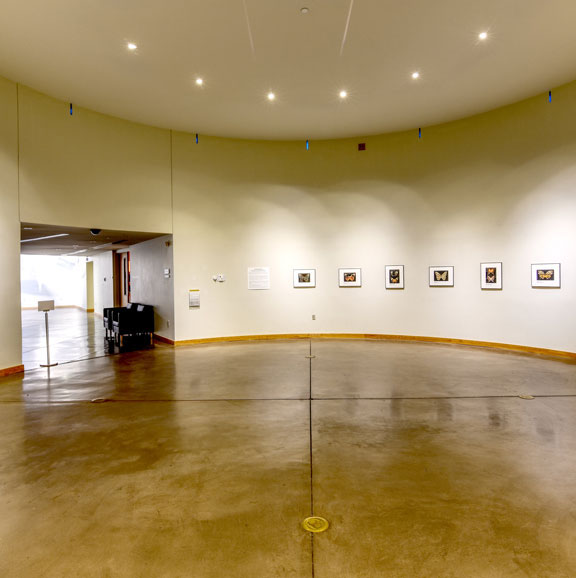 Art Museum Rotunda Gallery