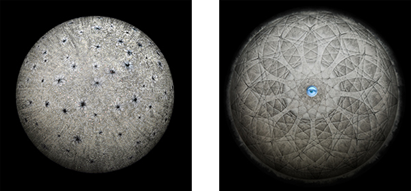 Carol Prusa: Emergent Worlds