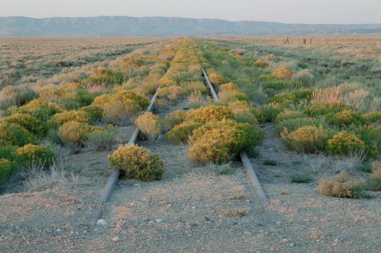 A photograph of a railroad line covered in sagebrush
