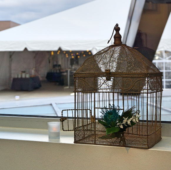 birdcage decor