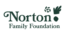 Norton logo