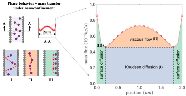 transport mechanisms