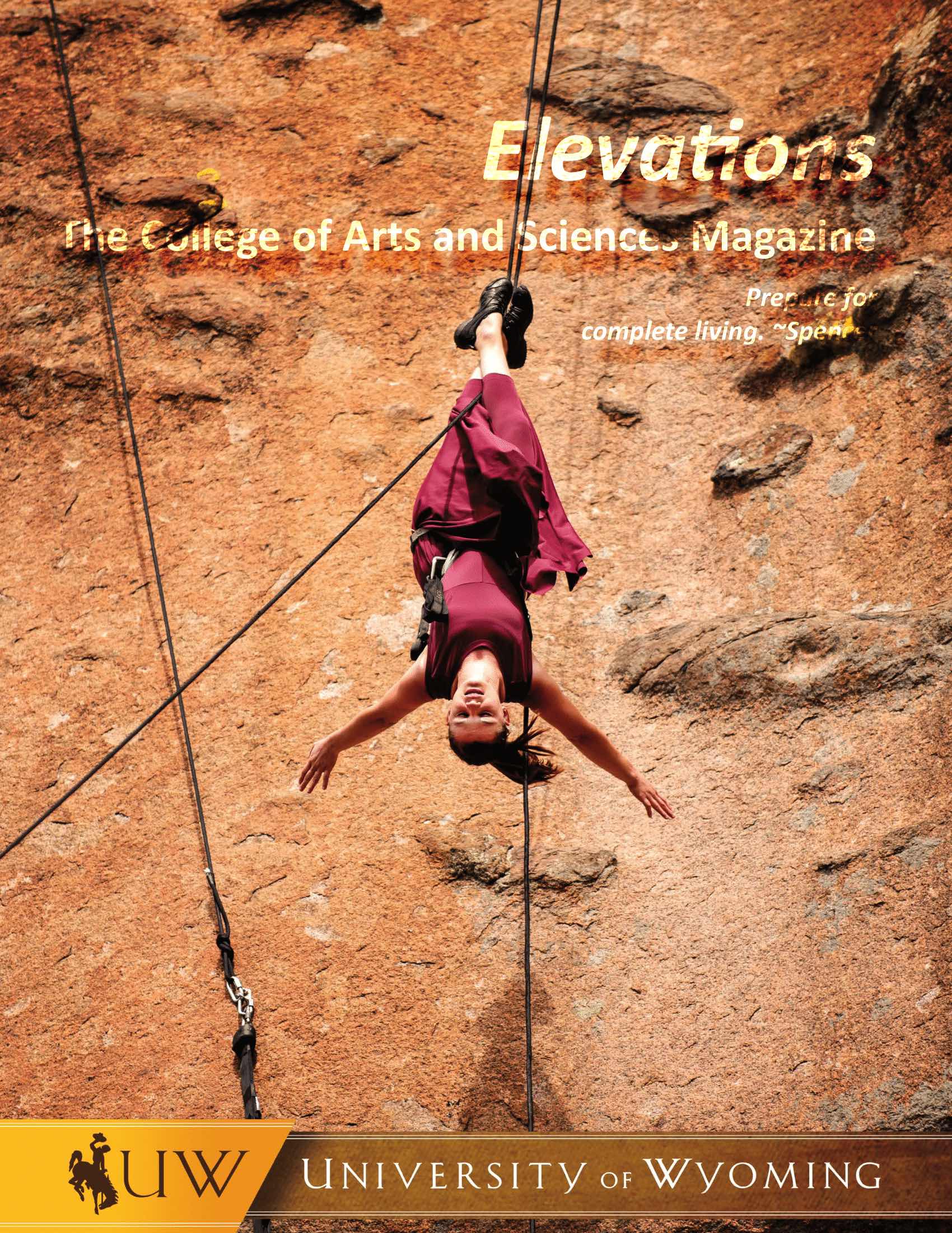 cover of 2015 elevations magazine