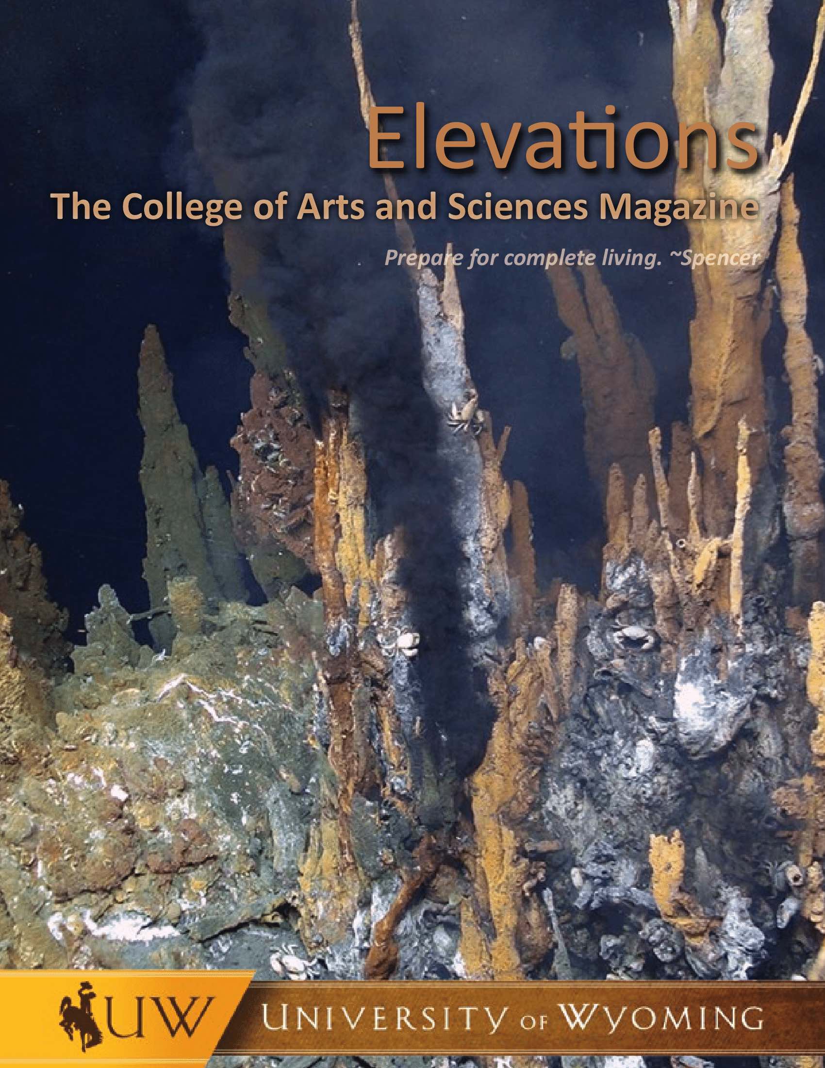 cover of 2017 elevations magazine