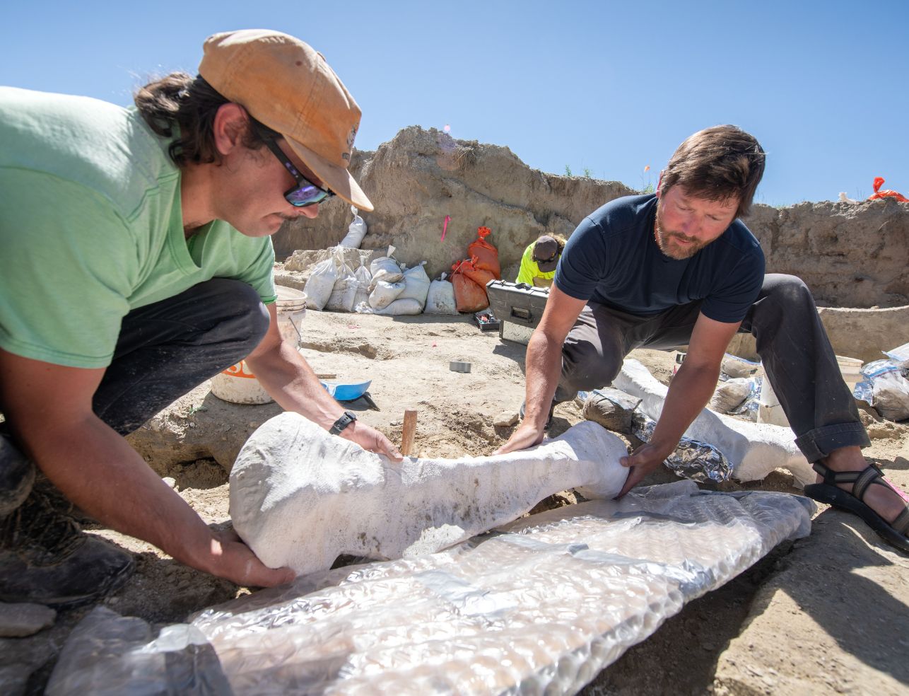 Two people in the anthropology department uncover a large fossil together.