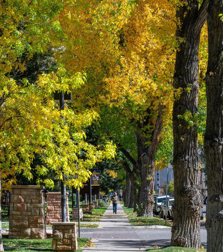 A man walks down Ivinson Avenue in the fall