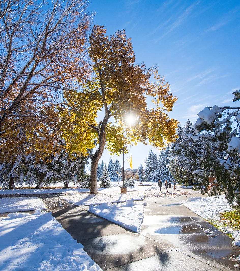 A sunny, snowy day on the UW campus near the College of Arts and Sciences building.
