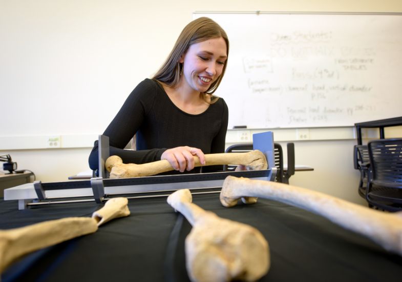 A female students works in a anthropology internship.