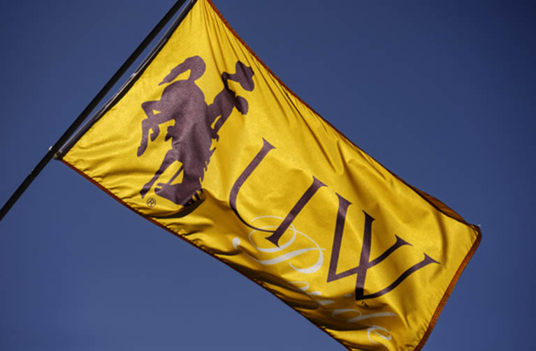 UW Flag