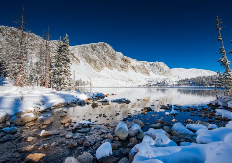 The snowies during the winter