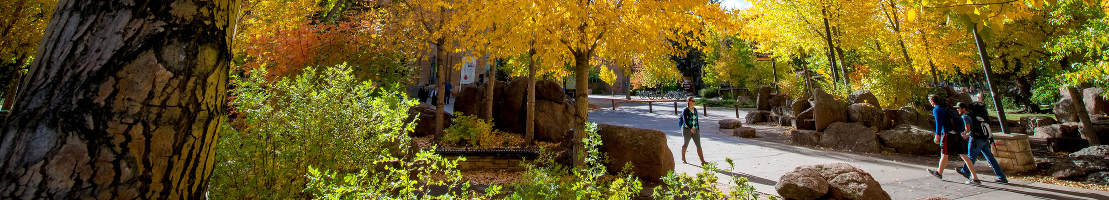 Campus in the fall