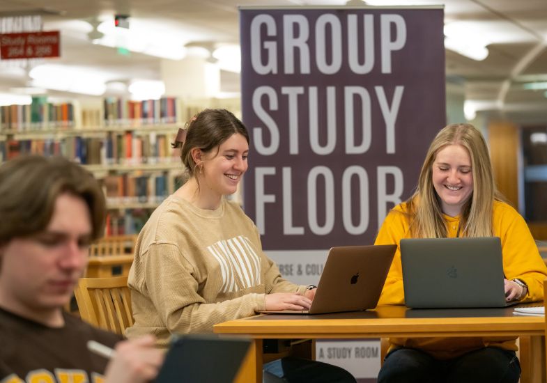 two students study at the library