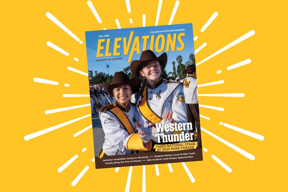 The cover of elevations background on a yellow background