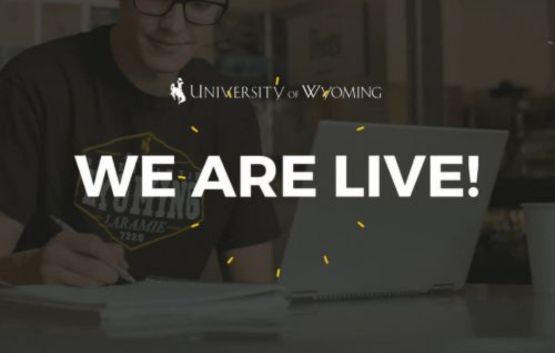 New website graphic