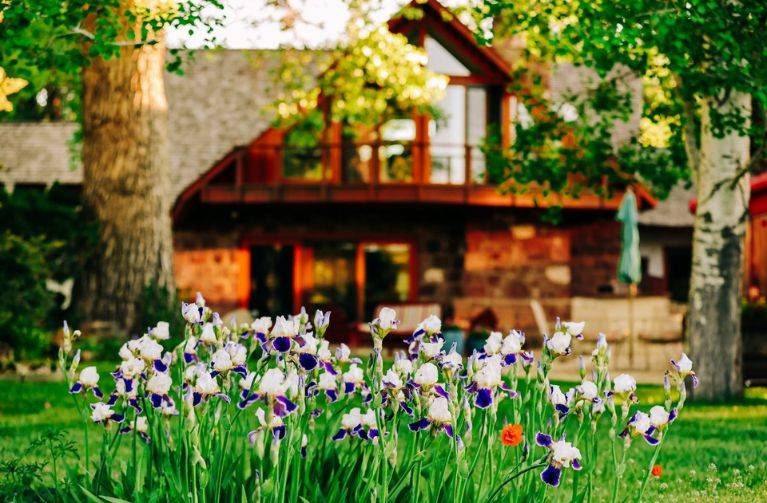 The outside of Neltje's home with purple flowers in bloom.