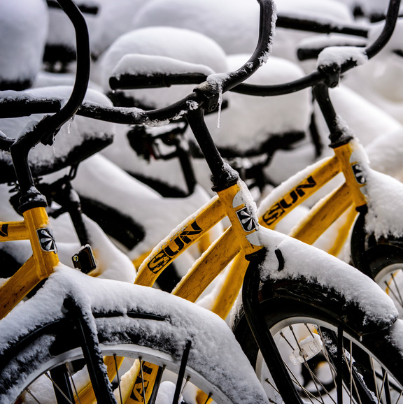 Bikes in the snow